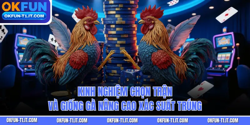 Kinh nghiệm chọn trận và giống gà nâng cao xác suất trúng